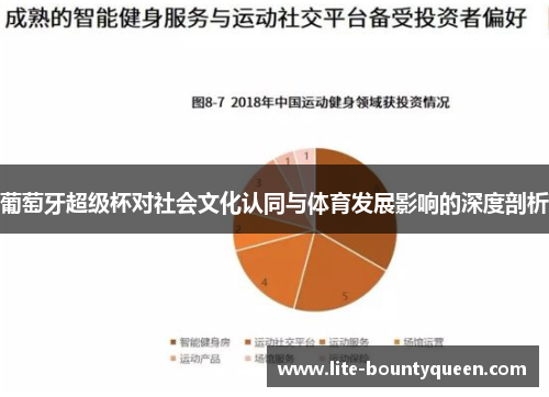 葡萄牙超级杯对社会文化认同与体育发展影响的深度剖析