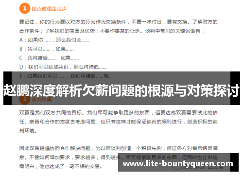 赵鹏深度解析欠薪问题的根源与对策探讨